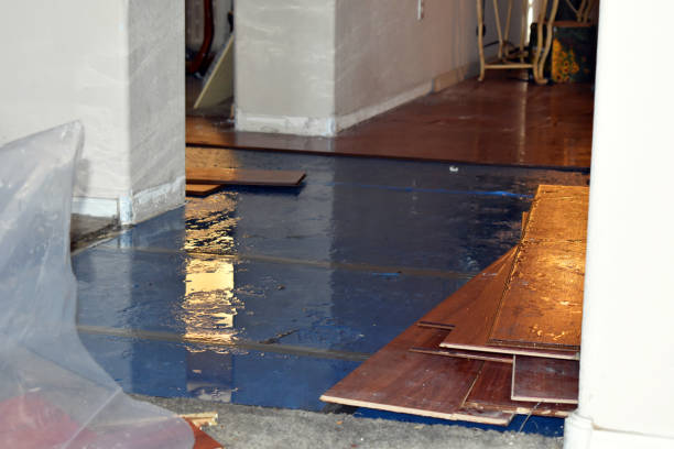 Professional Emergency Water Damage Restoration technician working in Allentown, PA